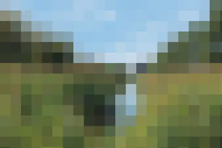 Van Huessenleede 4 Barendrecht thumbnail 39