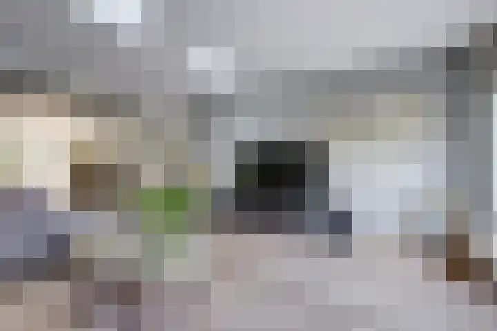 Van Huessenleede 8 Barendrecht thumbnail 10