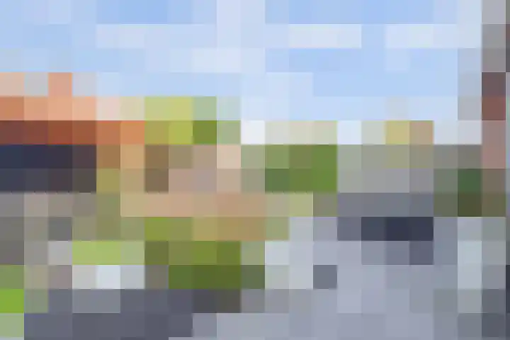 Van Huessenleede 8 Barendrecht thumbnail 40