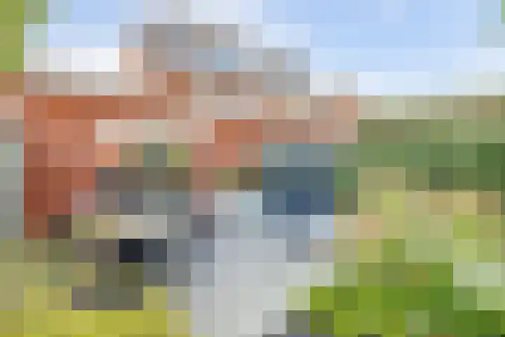 Van Huessenleede 8 Barendrecht thumbnail 43