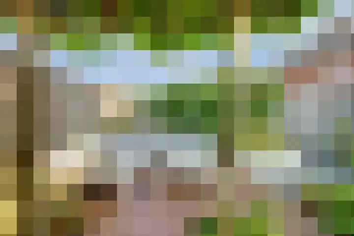 Van Huessenleede 8 Barendrecht thumbnail 44