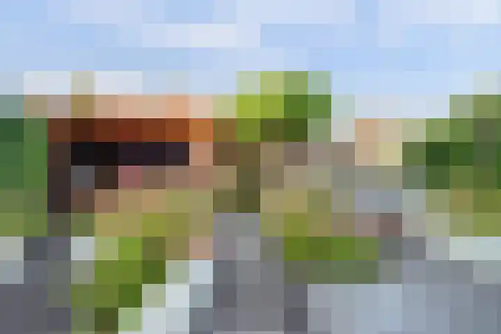 Van Huessenleede 8 Barendrecht thumbnail 5