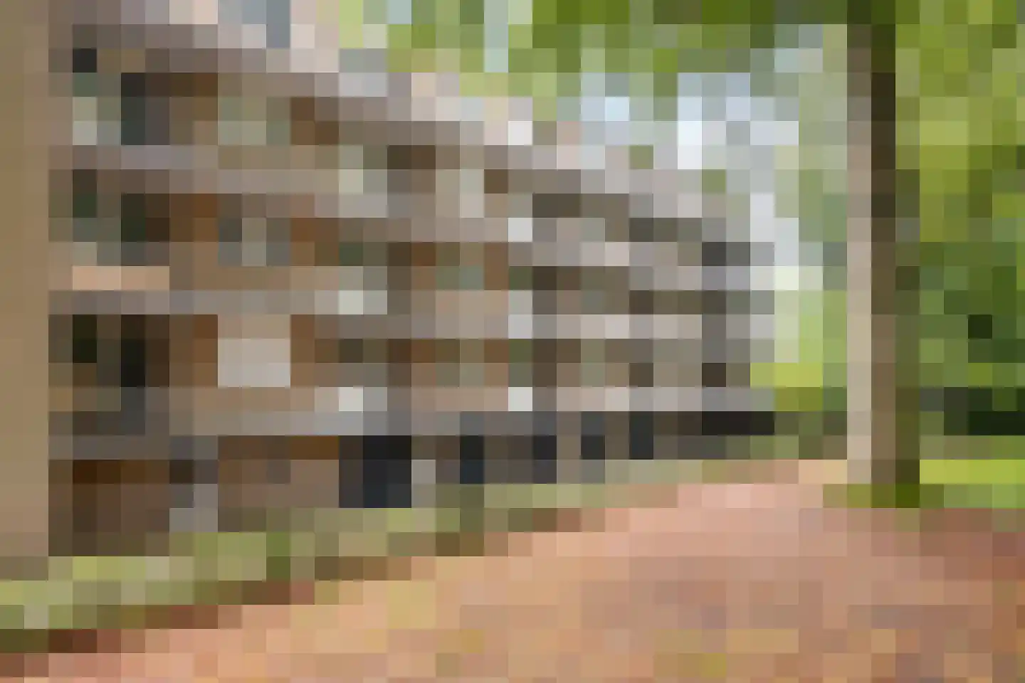 Van Huevenstraat 15 Arnhem thumbnail 20