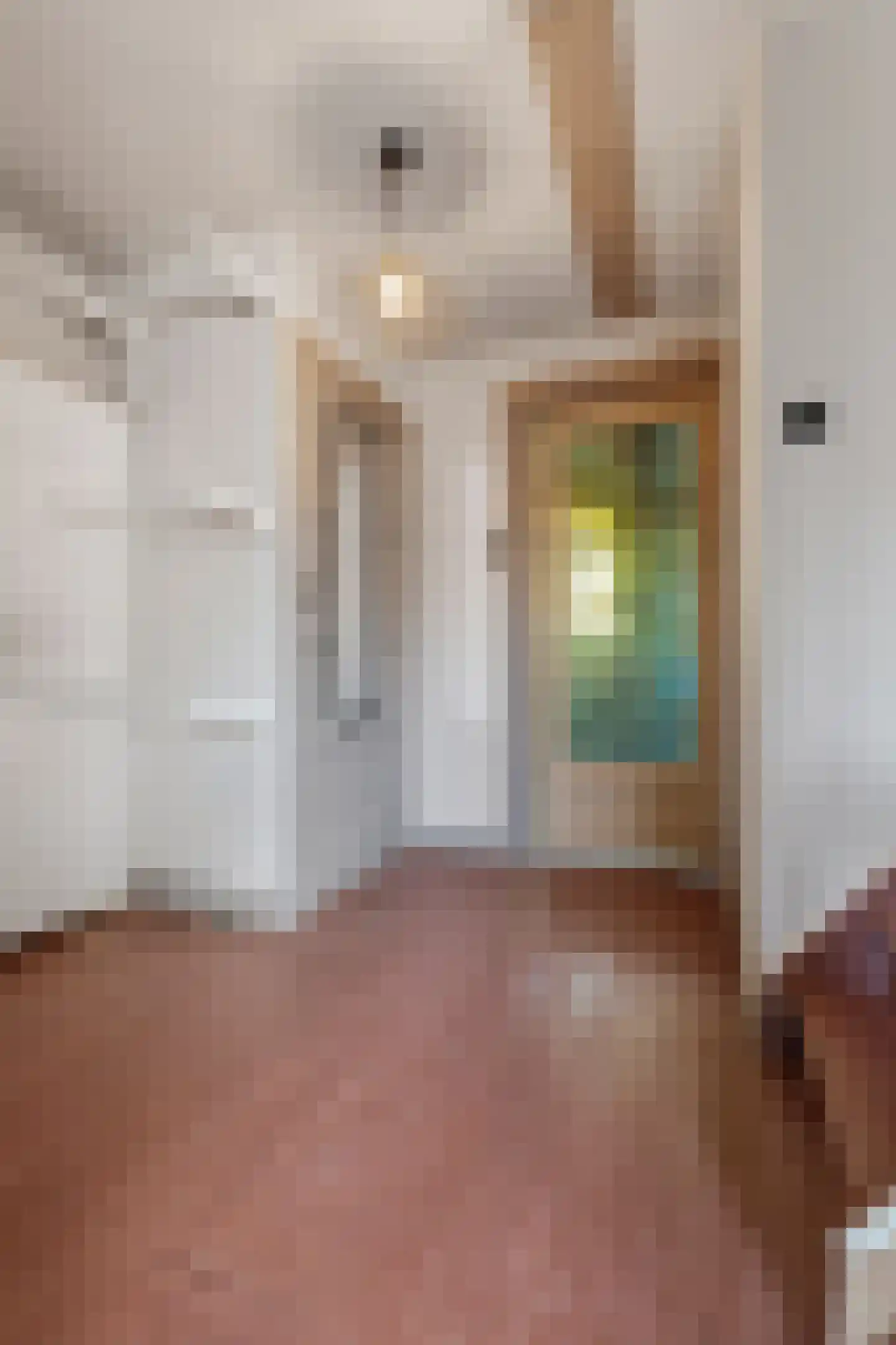 Van Huevenstraat 32 Arnhem thumbnail 42