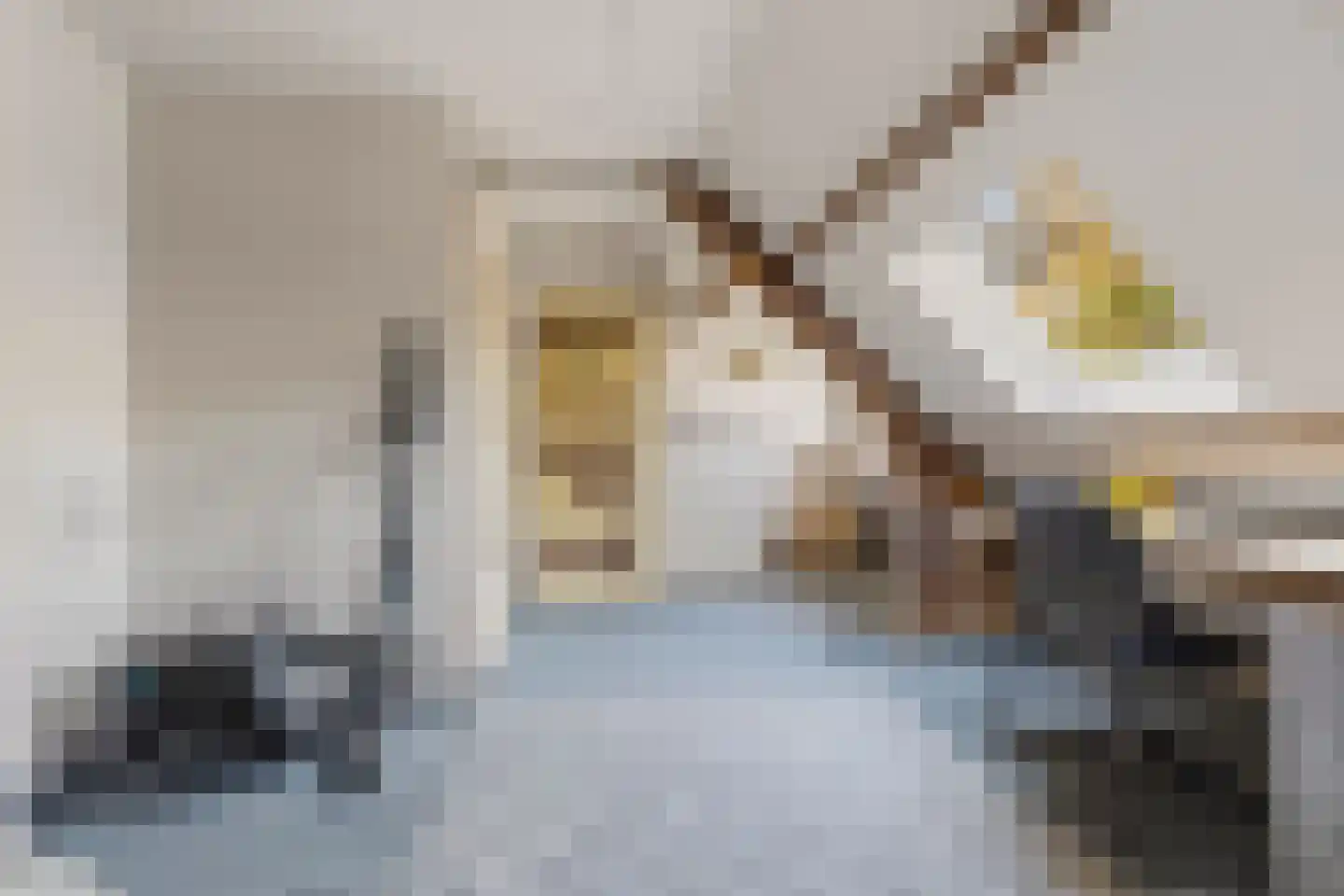 Van Huevenstraat 32 Arnhem thumbnail 51