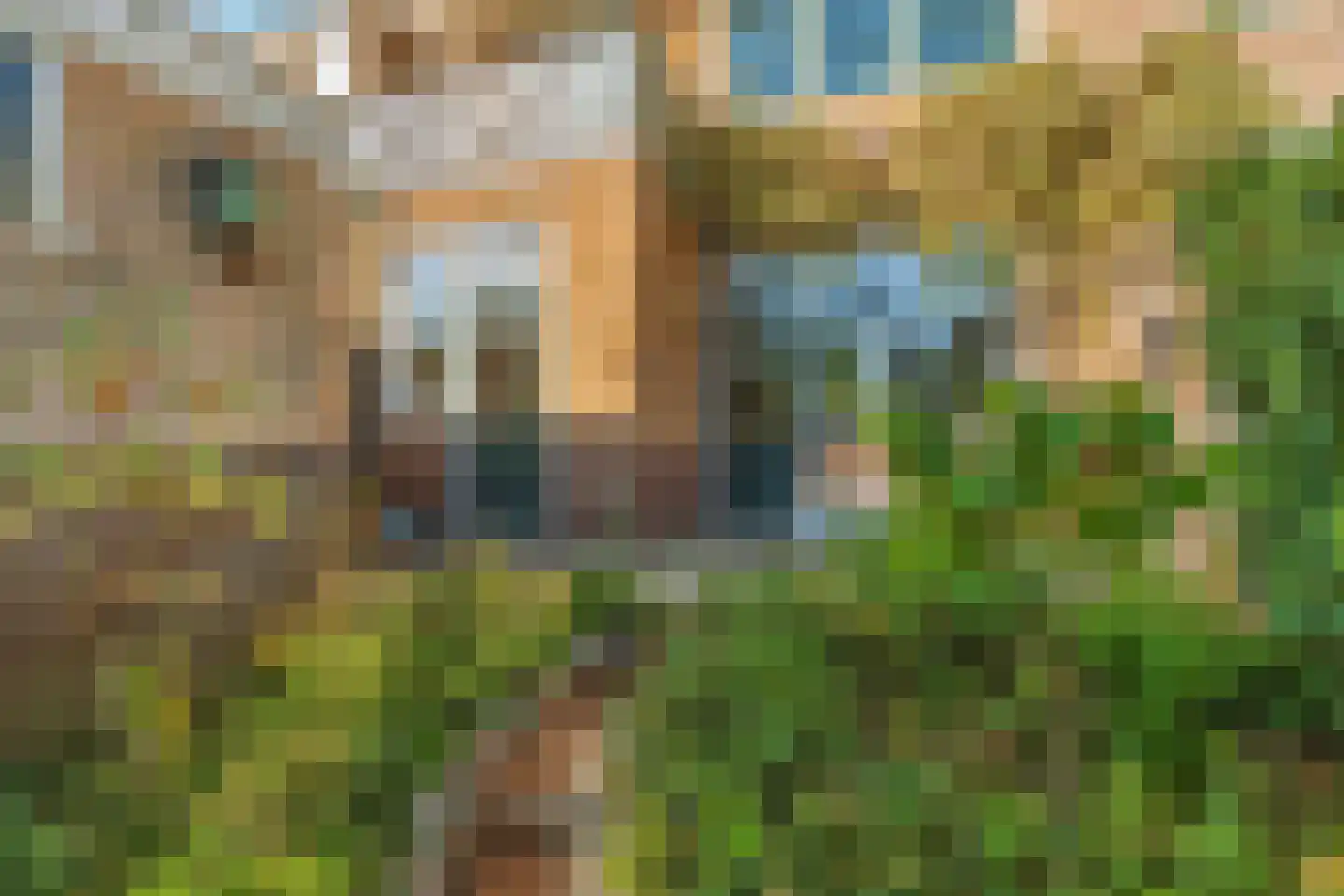 Van Huevenstraat 32 Arnhem thumbnail 67