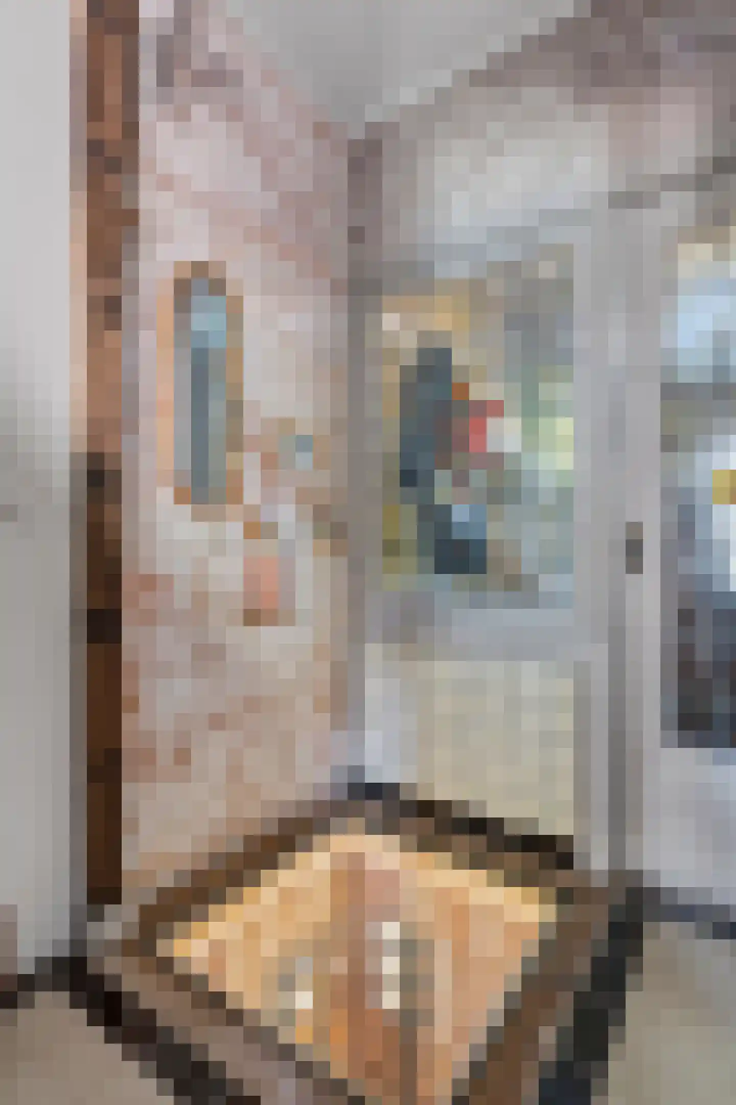 Van Huevenstraat 32 Arnhem thumbnail 8