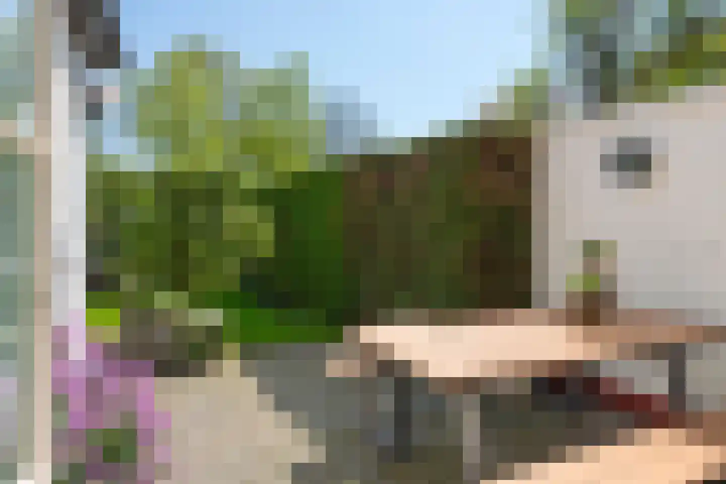 Van Huevenstraat 44 Arnhem thumbnail 21