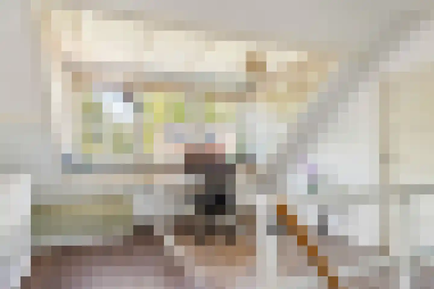 Van Huevenstraat 44 Arnhem thumbnail 38