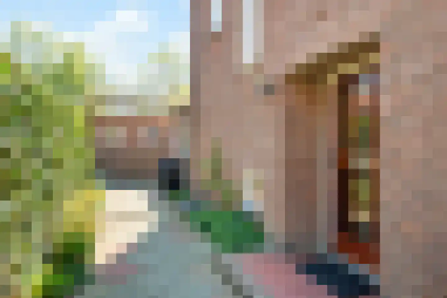 Van Huevenstraat 44 Arnhem thumbnail 5
