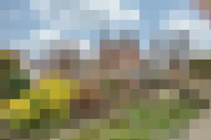 van Hugenpothstraat 13 Aerdt thumbnail 10