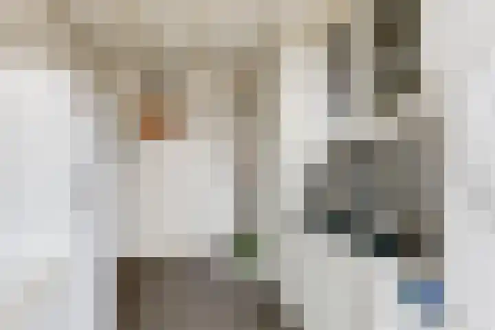 van Hugenpothstraat 13 Aerdt thumbnail 28
