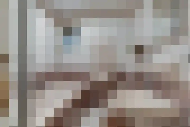 van Hugenpothstraat 13 Aerdt thumbnail 33