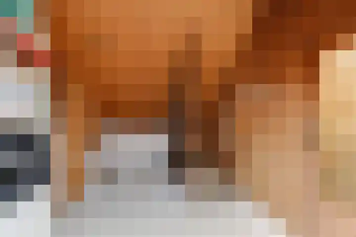 van Hugenpothstraat 13 Aerdt thumbnail 41