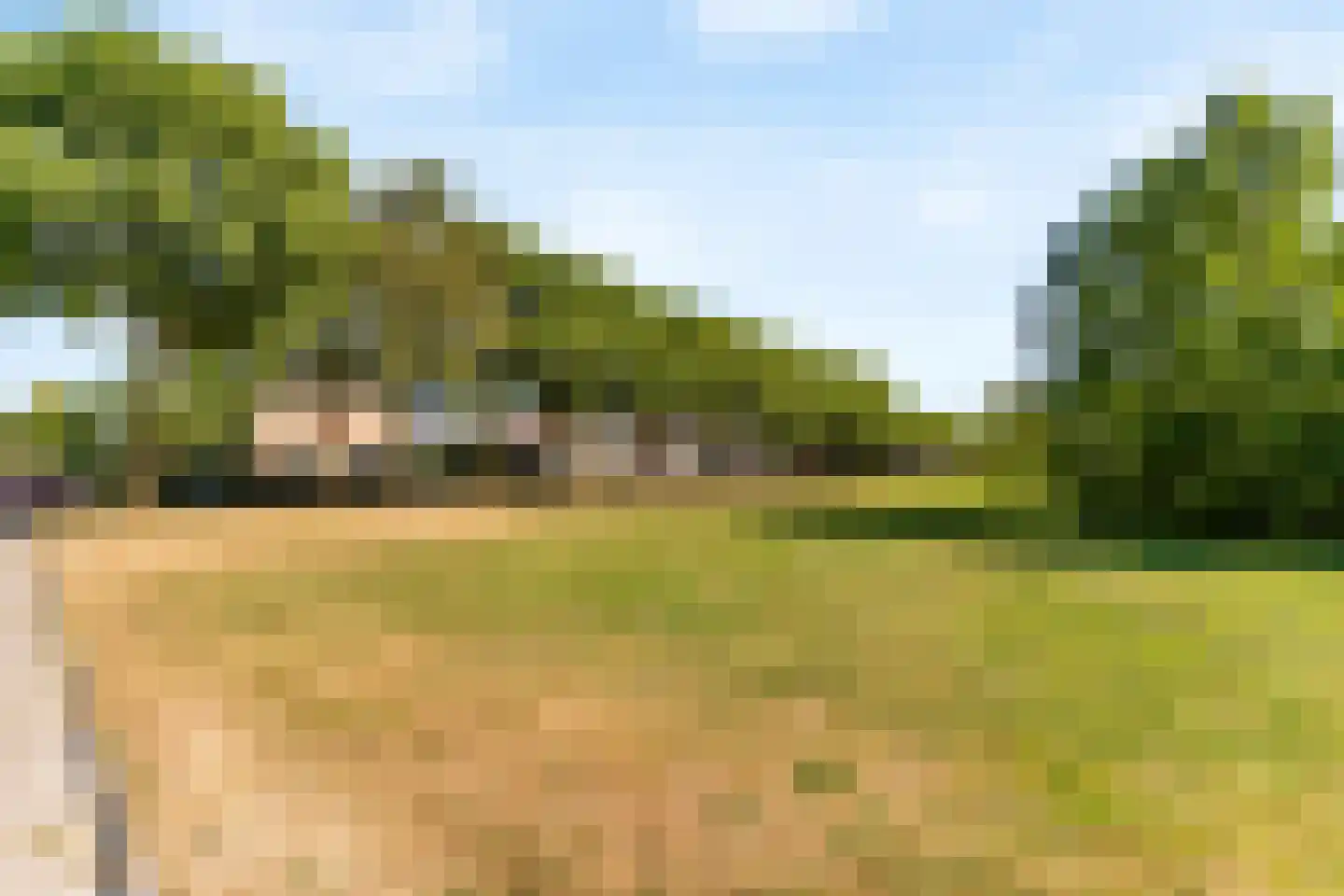 Van Hulststraat 11 Barendrecht thumbnail 50