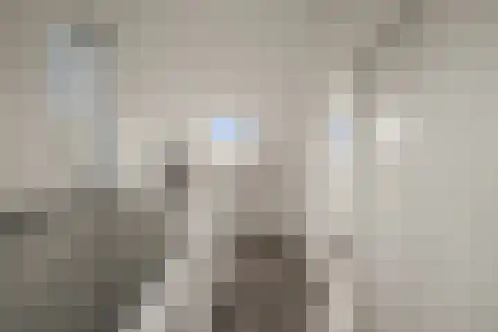 Van Hulststraat 43 Barendrecht thumbnail 35