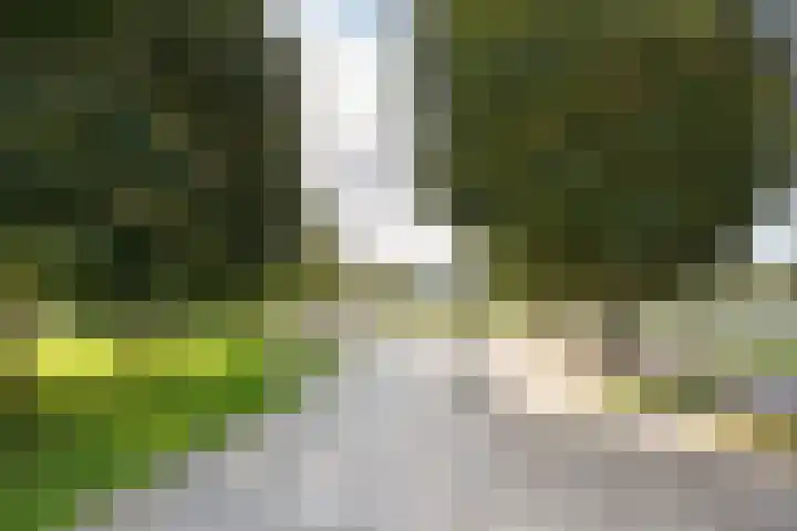 Van Humboldtstraat 109 Utrecht thumbnail 38