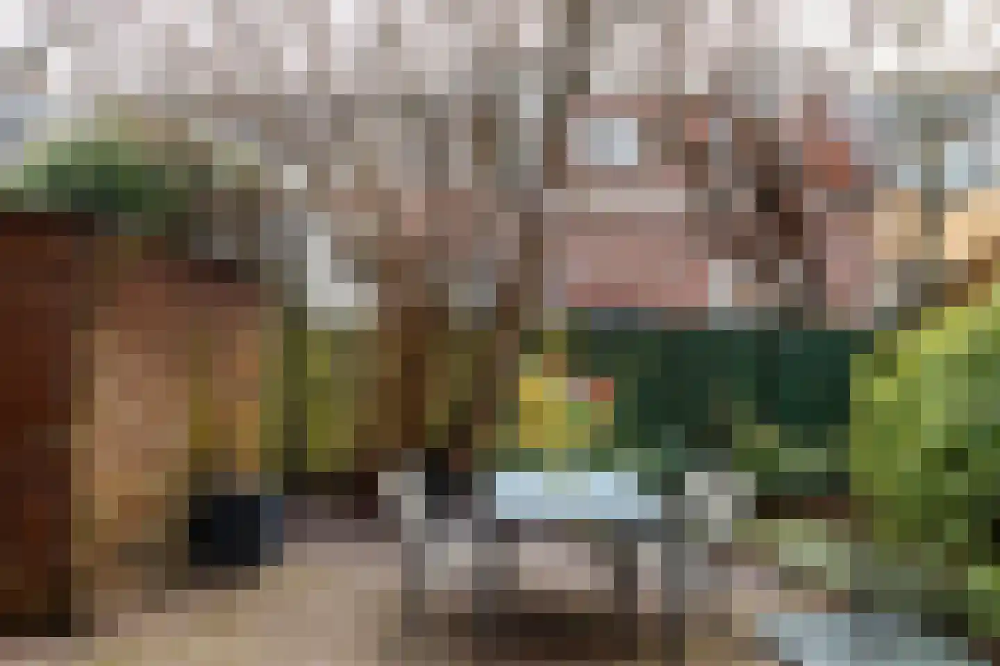 Van Humboldtstraat 21 Utrecht thumbnail 4