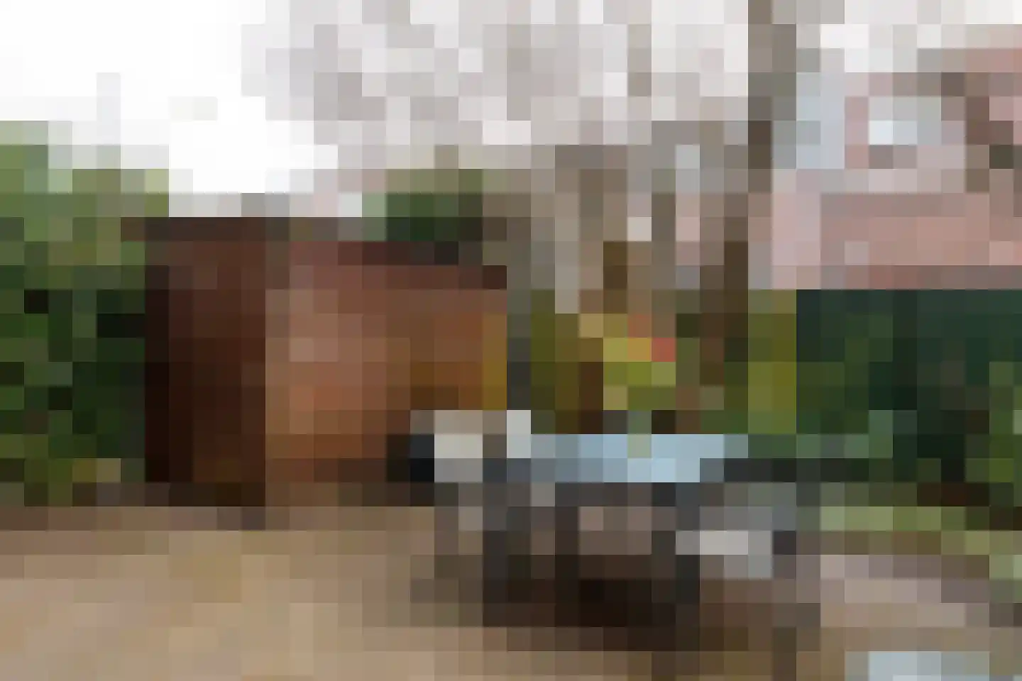 Van Humboldtstraat 21 Utrecht thumbnail 8