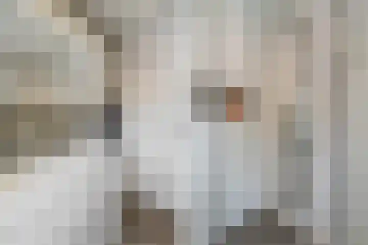 Van Humboldtstraat 25 Utrecht thumbnail 39