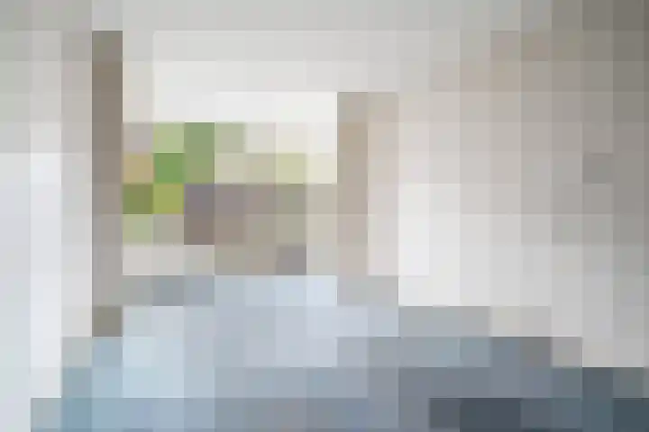 Van Humboldtstraat 69 Utrecht thumbnail 4