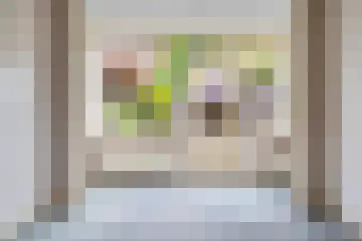 Van Humboldtstraat 69 Utrecht thumbnail 5