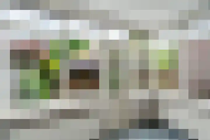 Van Humboldtstraat 69 Utrecht thumbnail 6