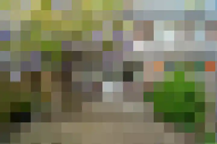 Van Humboldtstraat 69 Utrecht thumbnail 8
