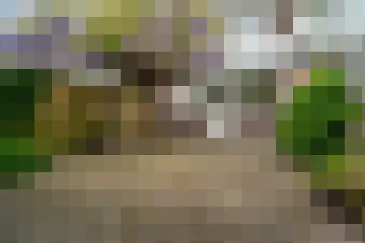 Van Humboldtstraat 69 Utrecht thumbnail 9