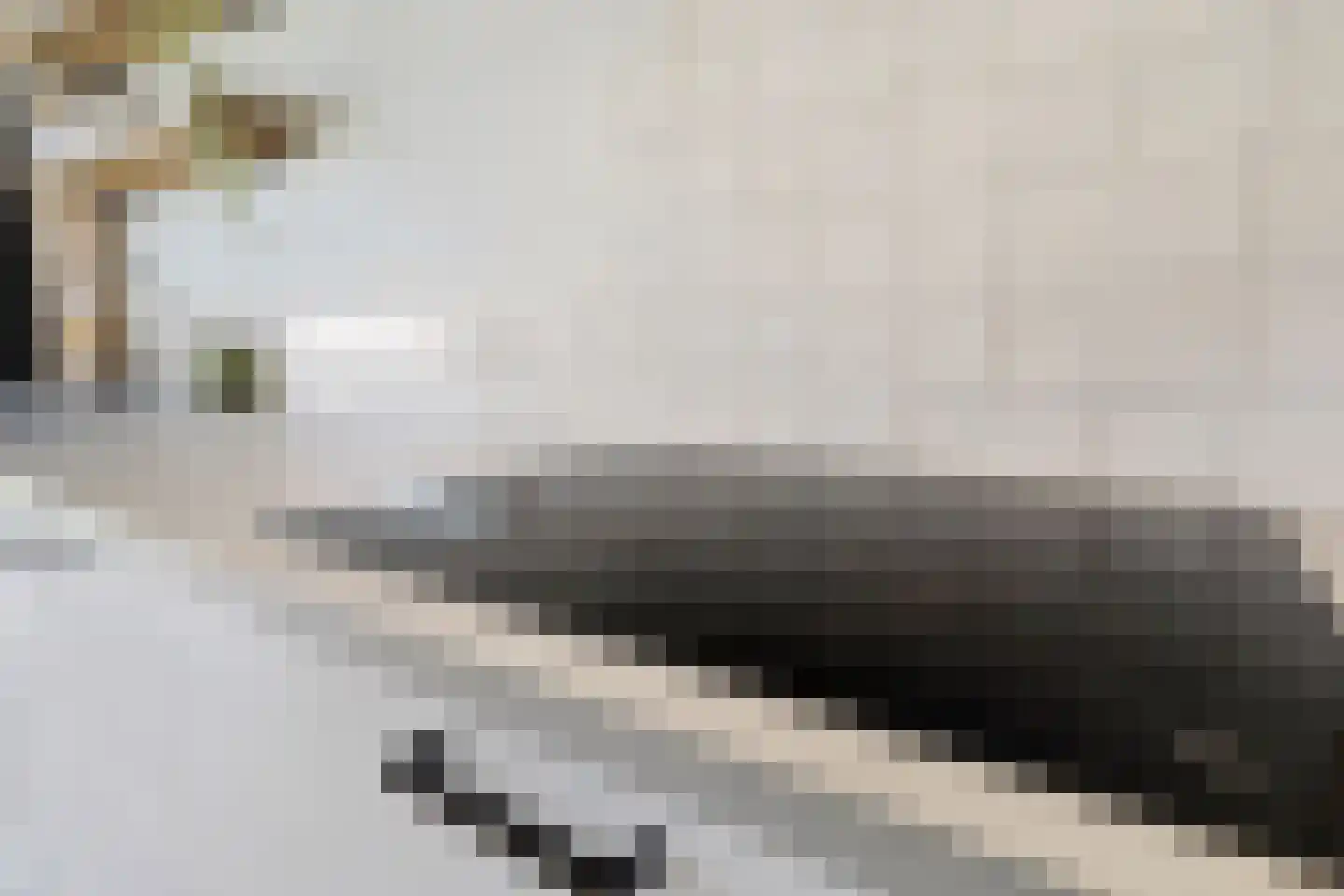van Hushovenstraat 3 Venlo thumbnail 18
