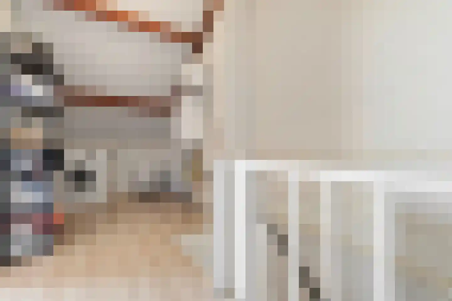 van Hushovenstraat 3 Venlo thumbnail 32