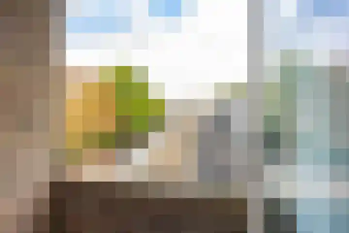 Van Iddekingeweg 111 Groningen thumbnail 34