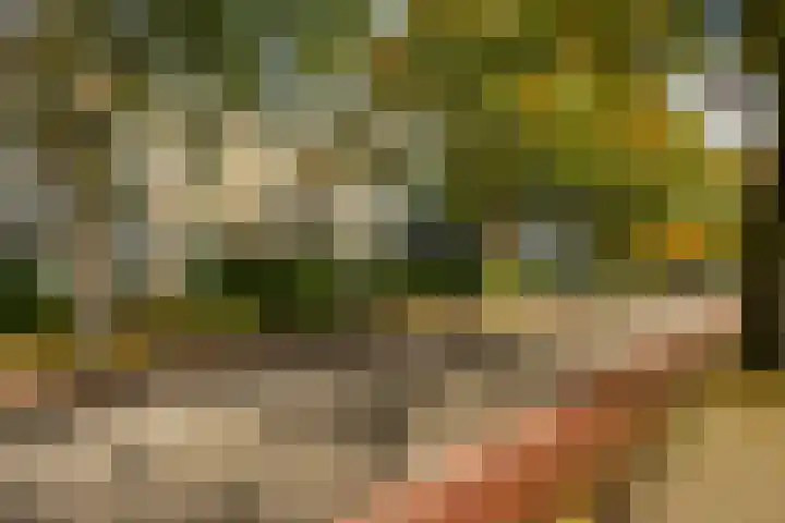 Van Iddekingeweg 111 Groningen thumbnail 40