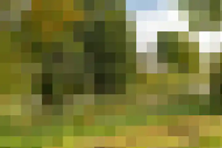 Van Iddekingeweg 111 Groningen thumbnail 42