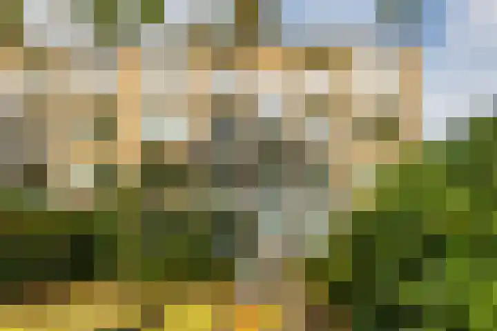 Van Iddekingeweg 111 Groningen thumbnail 7