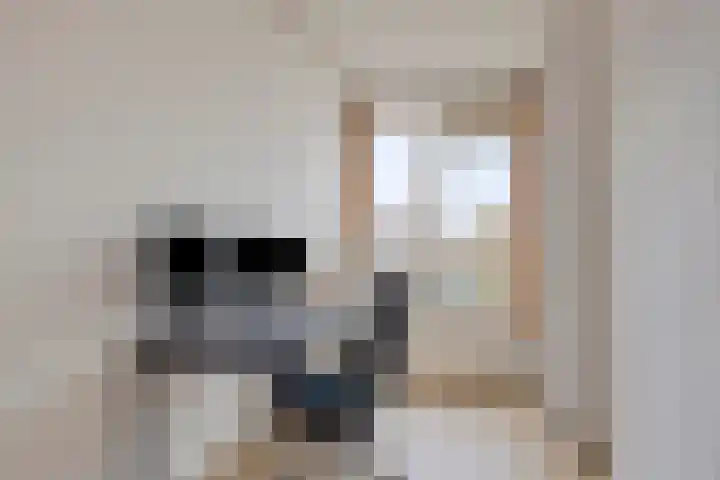 Van Iddekingeweg 129 Groningen thumbnail 15
