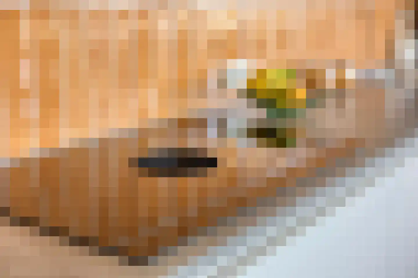 Van Iddekingeweg 138 33 Groningen thumbnail 13