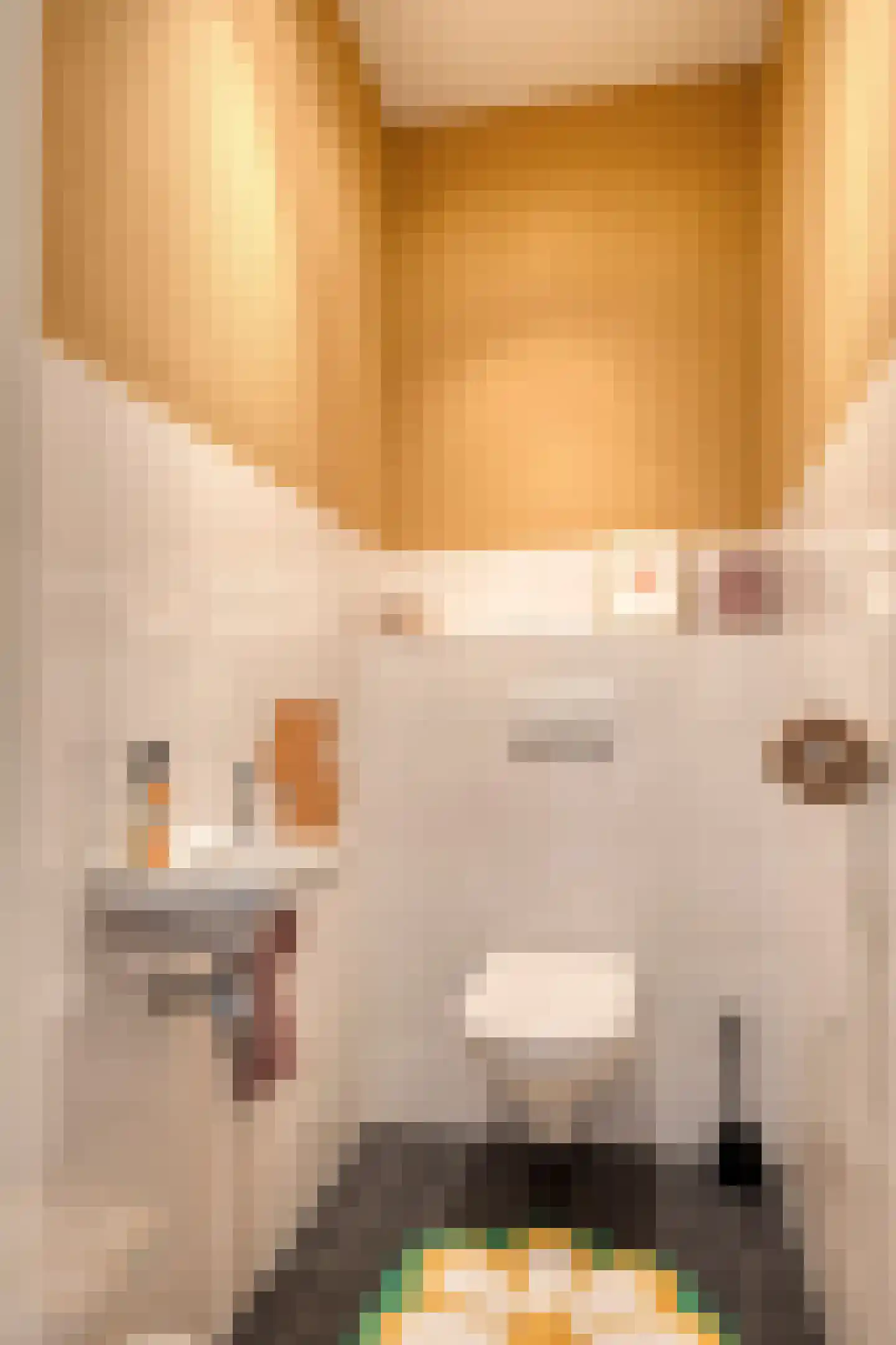 Van Iddekingeweg 138 33 Groningen thumbnail 24