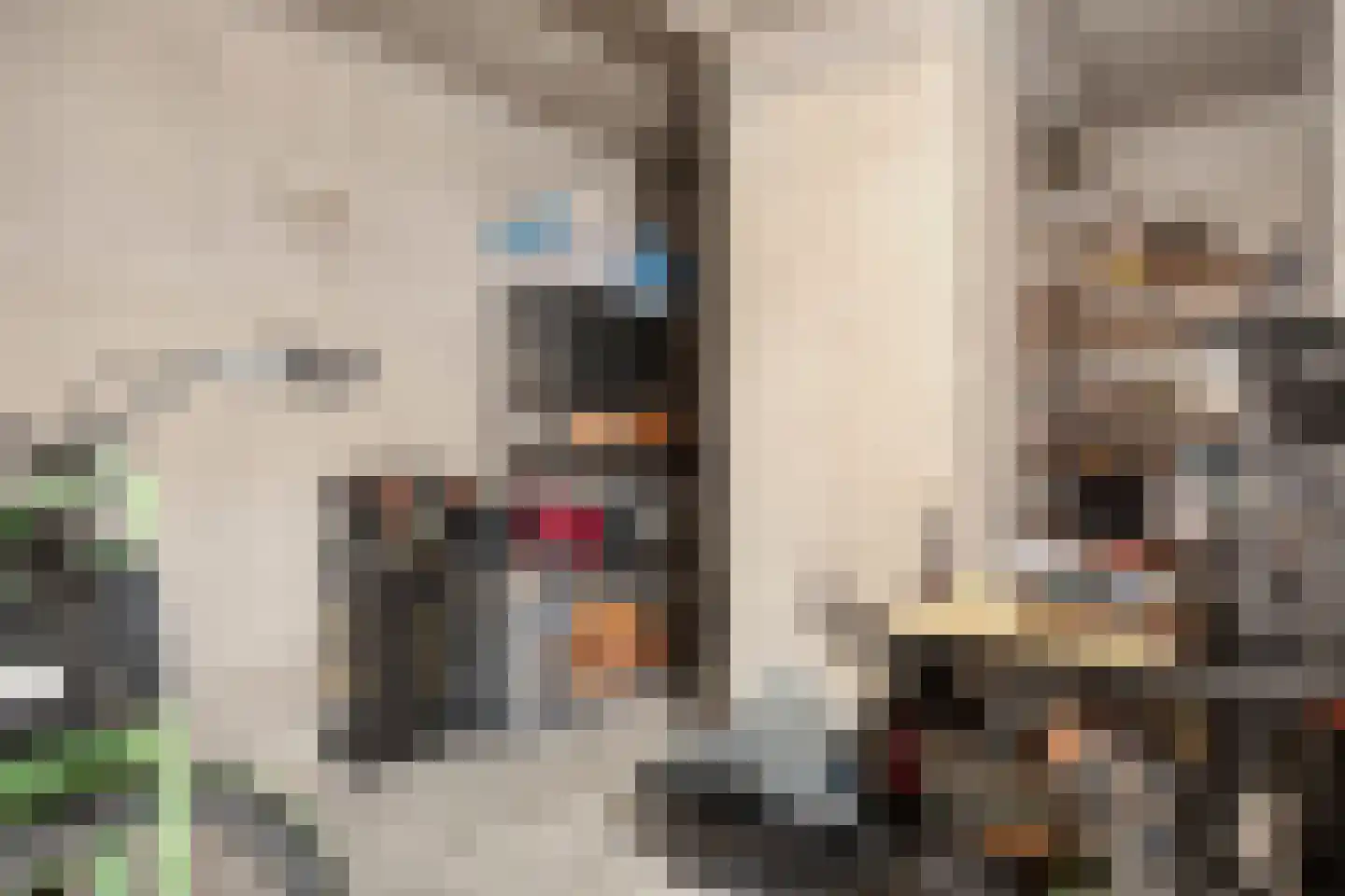 Van Iddekingeweg 138 33 Groningen thumbnail 29