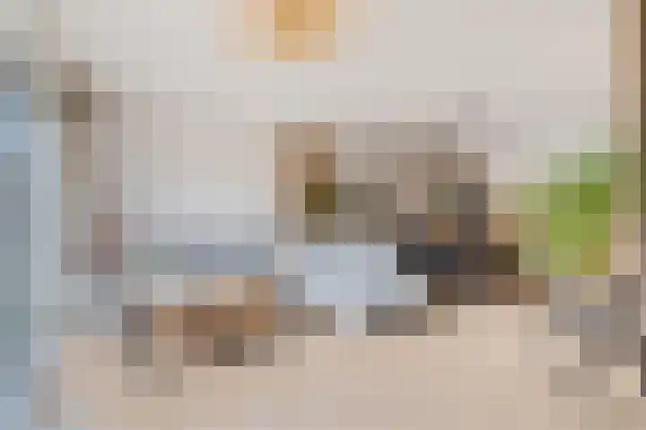 Van Iddekingeweg 138 44 Groningen thumbnail 21