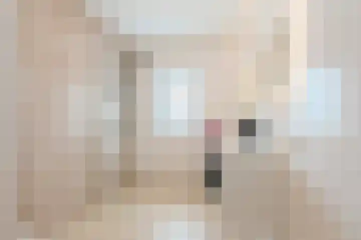 Van Iddekingeweg 138 44 Groningen thumbnail 34