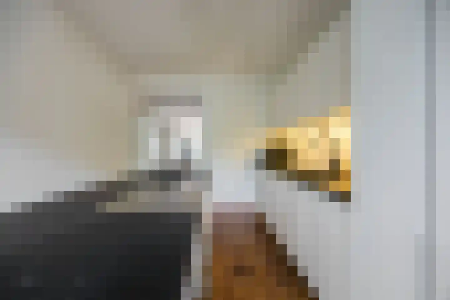 Van Iddekingeweg 138 45 Groningen thumbnail 13