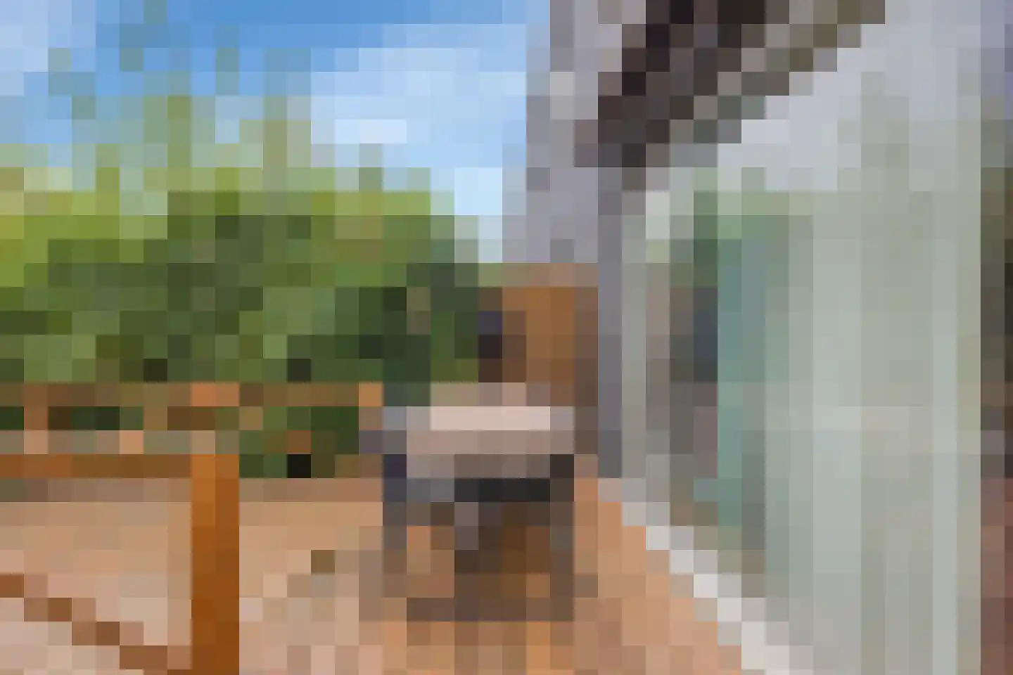 Van Iddekingeweg 138 45 Groningen thumbnail 26