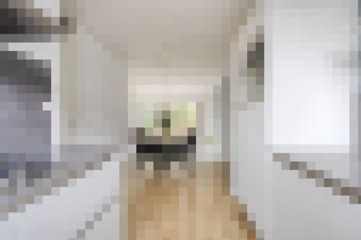 Van Iddekingeweg 138 56 Groningen thumbnail 11