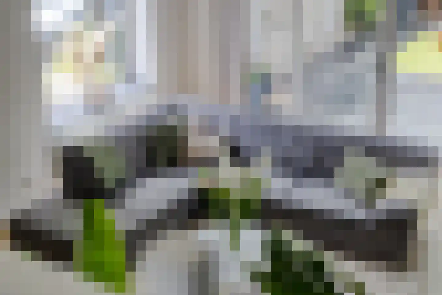 Van Iddekingeweg 138 56 Groningen thumbnail 13