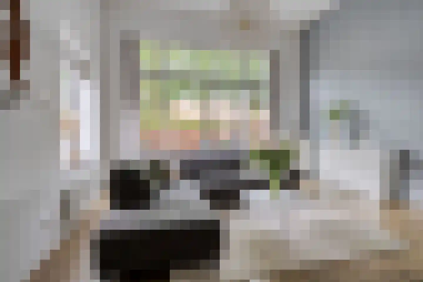 Van Iddekingeweg 138 56 Groningen thumbnail 14