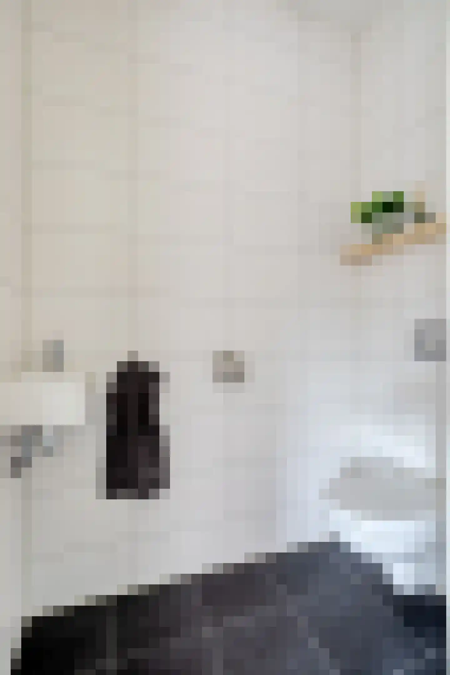 Van Iddekingeweg 138 56 Groningen thumbnail 25