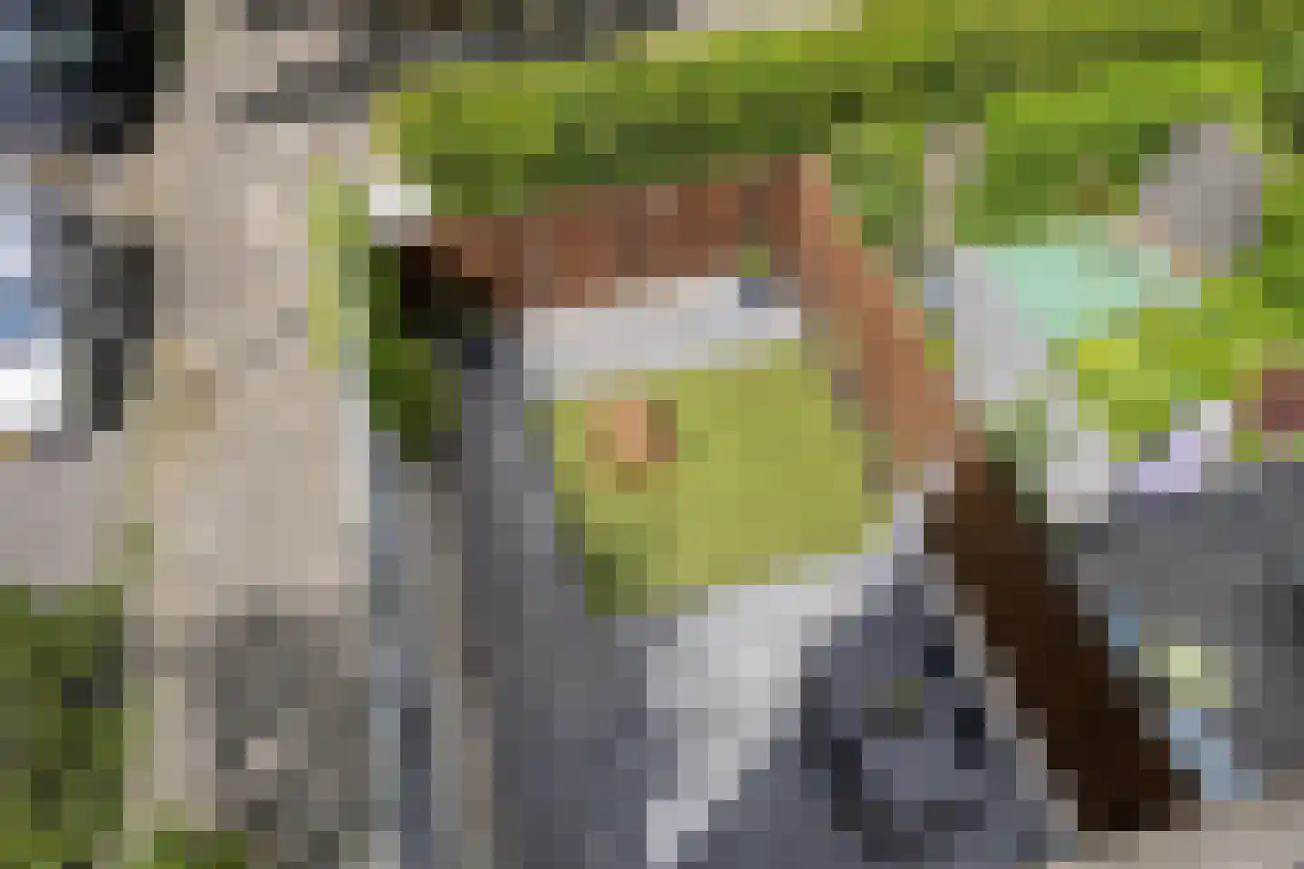 Van Iddekingeweg 138 56 Groningen thumbnail 32