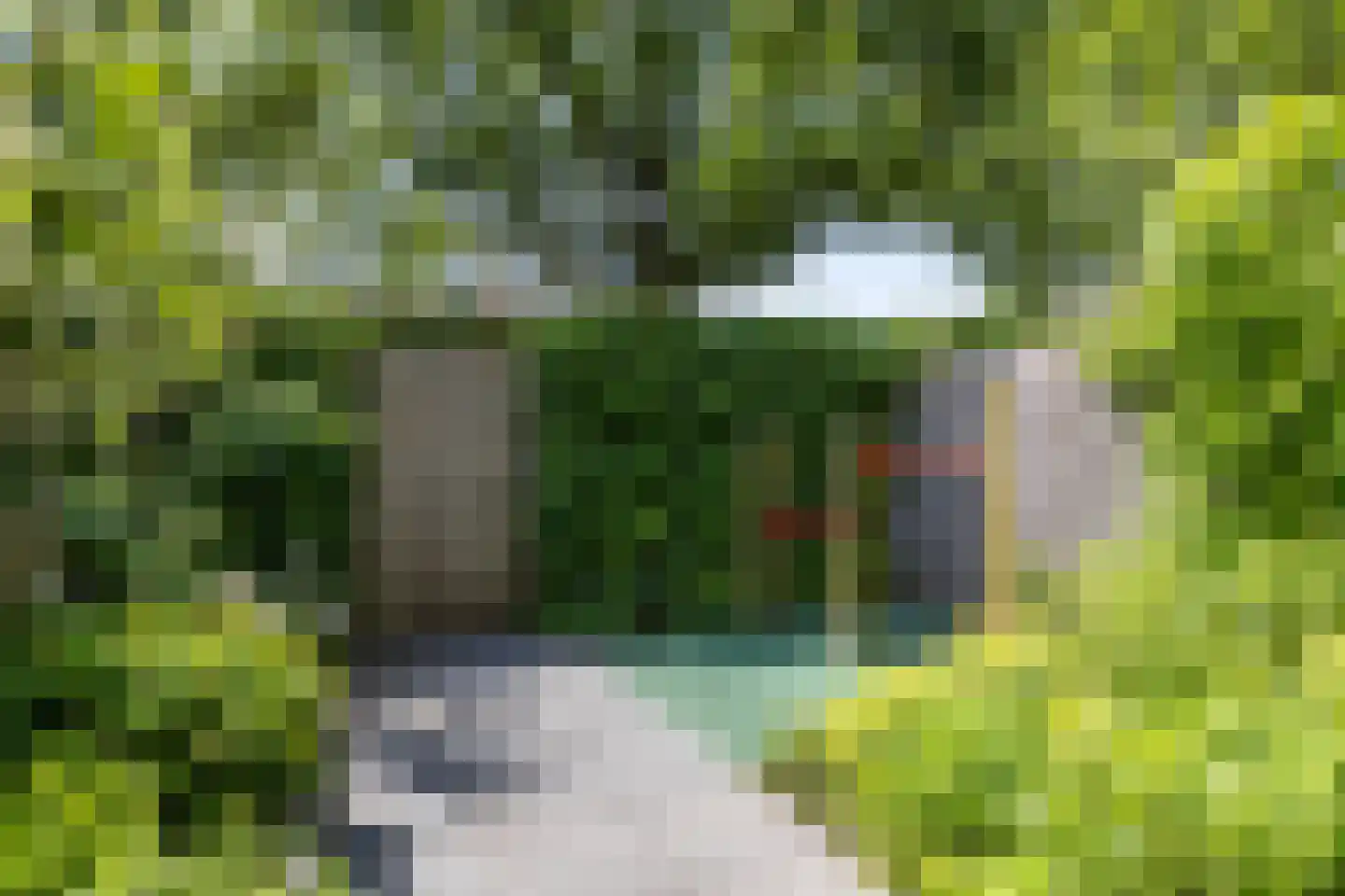 Van Iddekingeweg 138 57 Groningen thumbnail 29