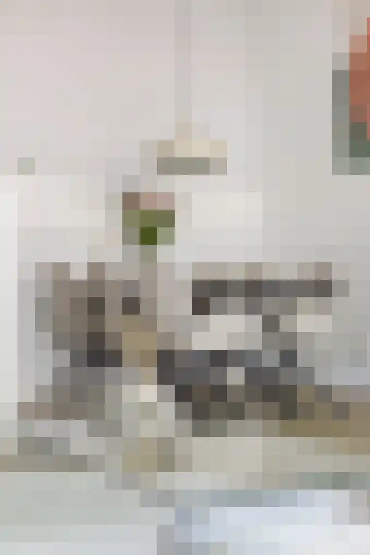 Van Iddekingeweg 138 60 Groningen thumbnail 12